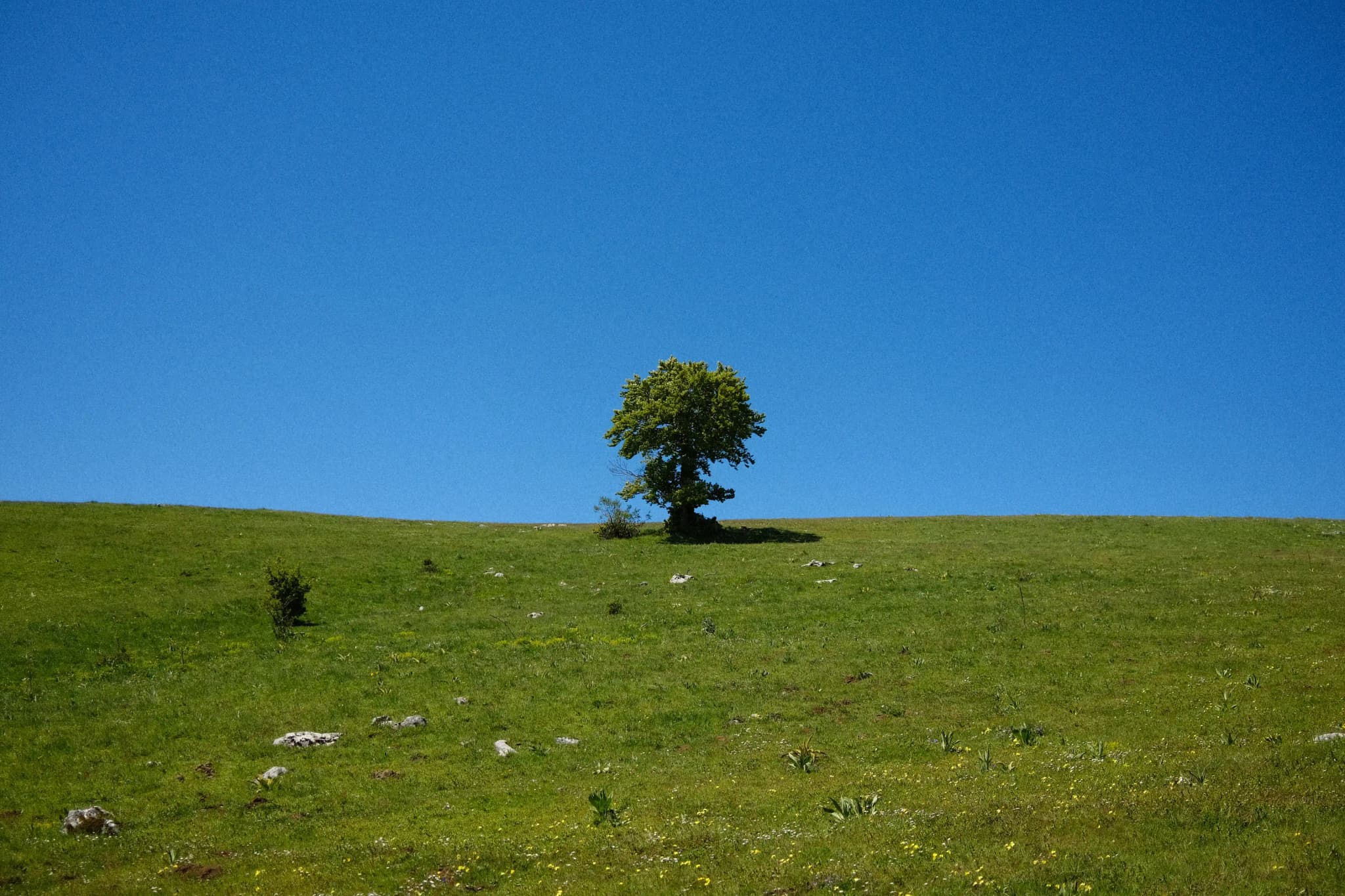 Monte Orsello
